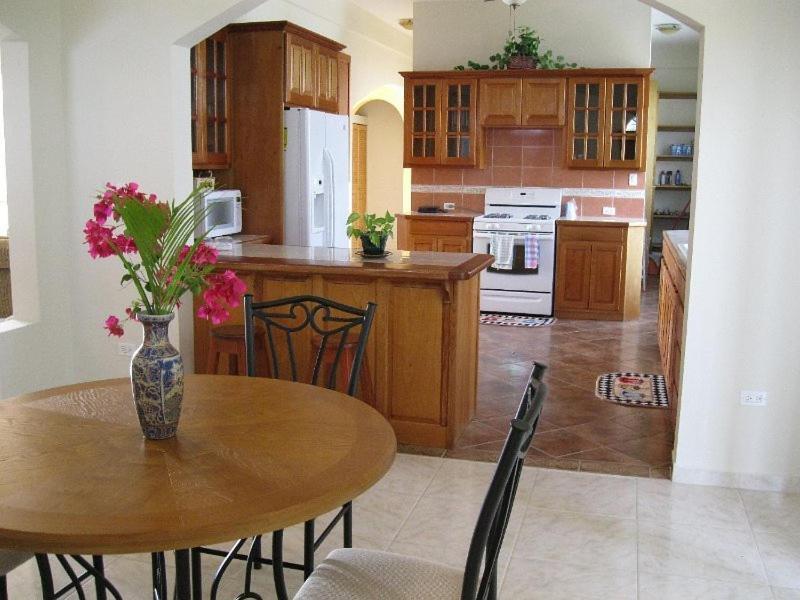 Villa San Juan Belmopan Extérieur photo